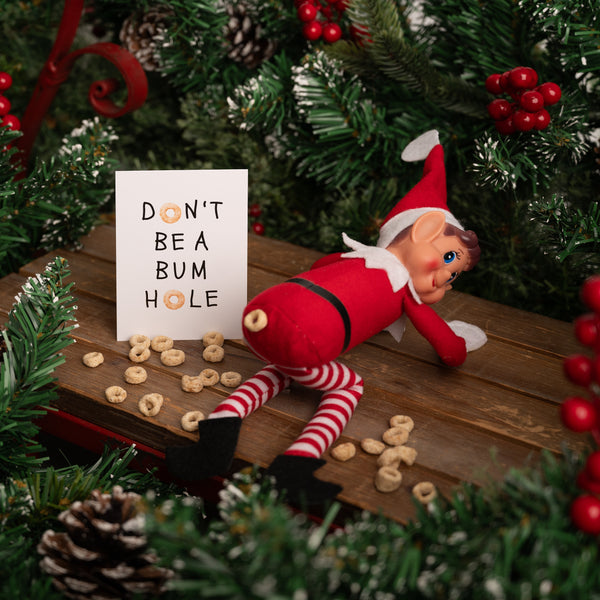 The Everyday Elf Idea Pack - 4th Edition