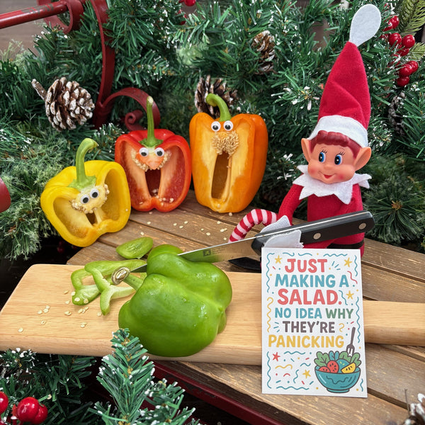 Elf Idea Bundle Pack - December Made Easy - Worth over £31