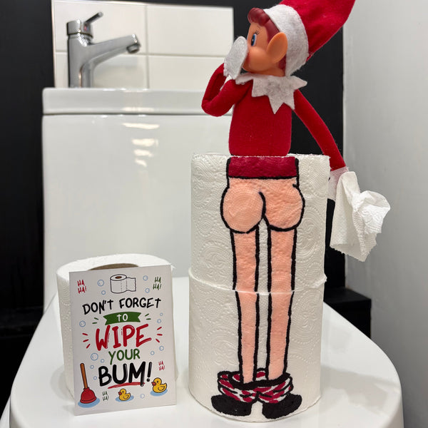 Latest Edition - The Everyday Elf Idea Pack - 24 Easy Elf On The Shelf Ideas In One Pack