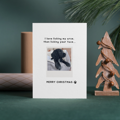 Personalised "I Like to Lick my Arse" Christmas Day Card