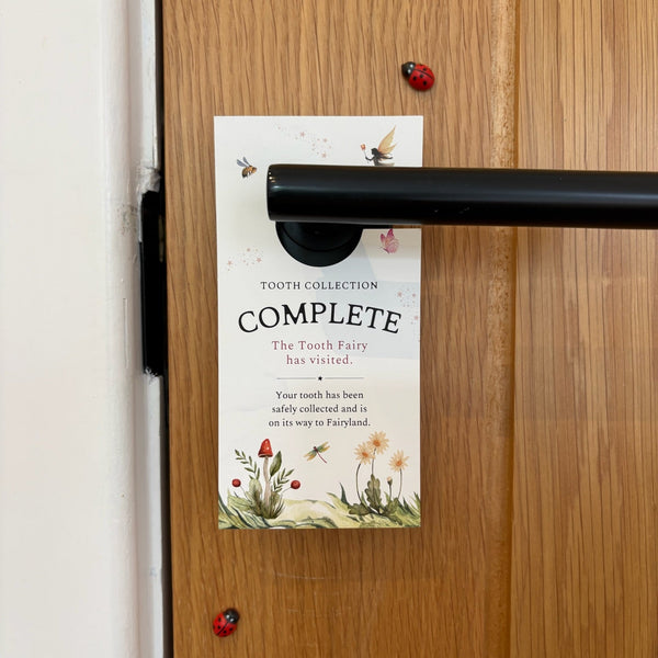 Tooth Fairy Door Hanger