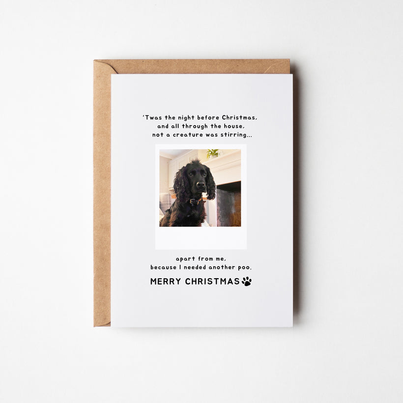 From your Furry Friends