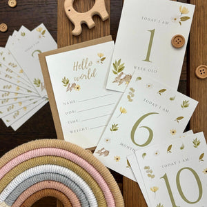 Classic Baby Milestone Cards