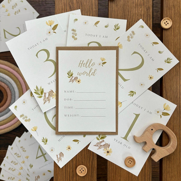 Classic Baby Milestone Cards