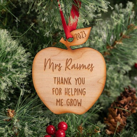 Thank You for Helping Me Grow Apple Hanging Decoration