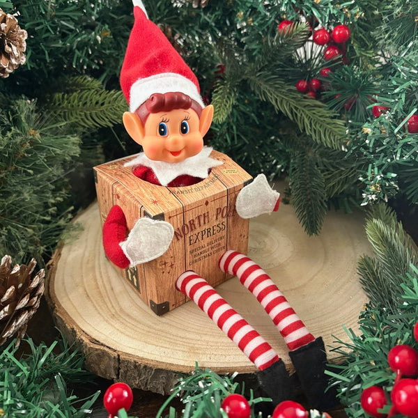 North Pole Elf Arrival Crate
