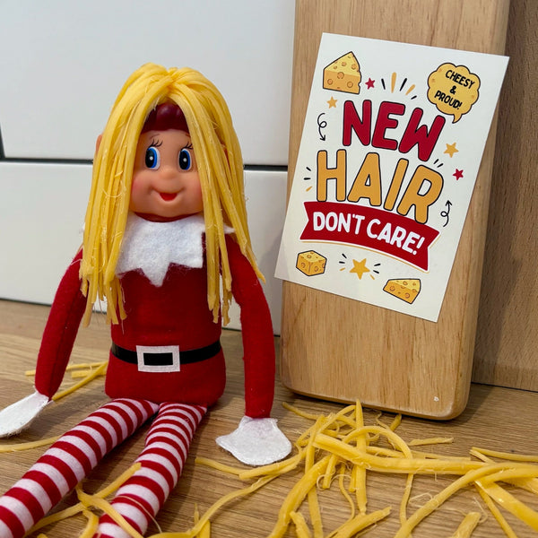 Latest Edition - The Everyday Elf Idea Pack - 24 Easy Elf On The Shelf Ideas In One Pack