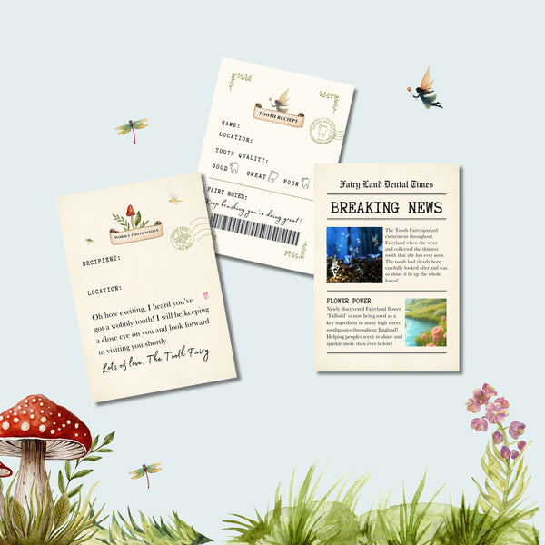 A Little Box of Tooth Fairy Magic