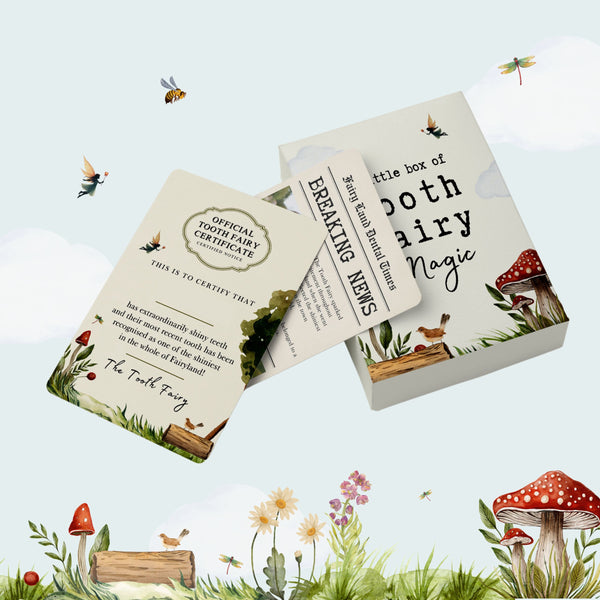 A Little Box of Tooth Fairy Magic