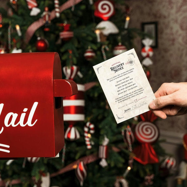 North Pole Magical Bundle - Make their Christmas extra magical - Letter from Father Christmas and much more!