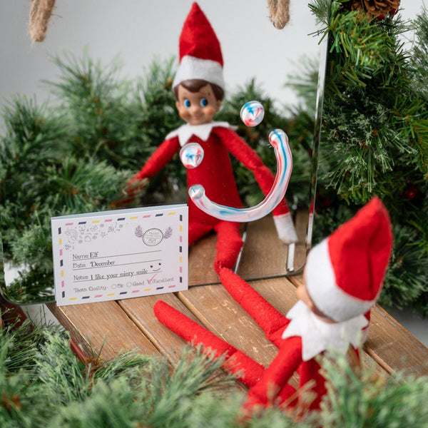 The Everyday Elf Ideas Pack - 2nd Edition